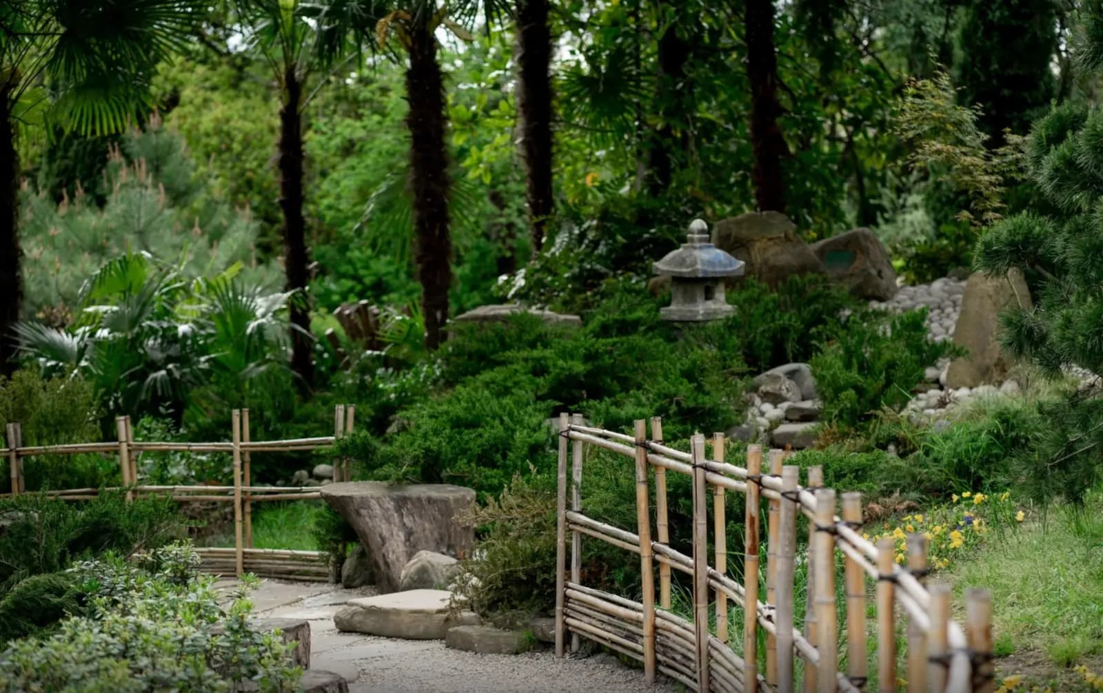 Галерея фото 15